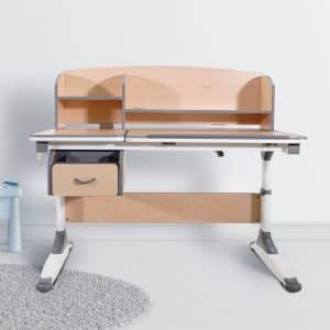 โต๊ะเครื่องเขียนพัฒนาการสำหรับเด็ก Ergonomic Desk รุ่น C120 ขนาด 120*67 cm.